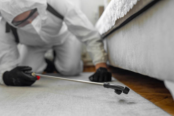 Professional Emergency Pest Control technician working in Kodiak Island Borough County, AK